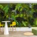 High Experience Contracting’s Saudi Green Initiative